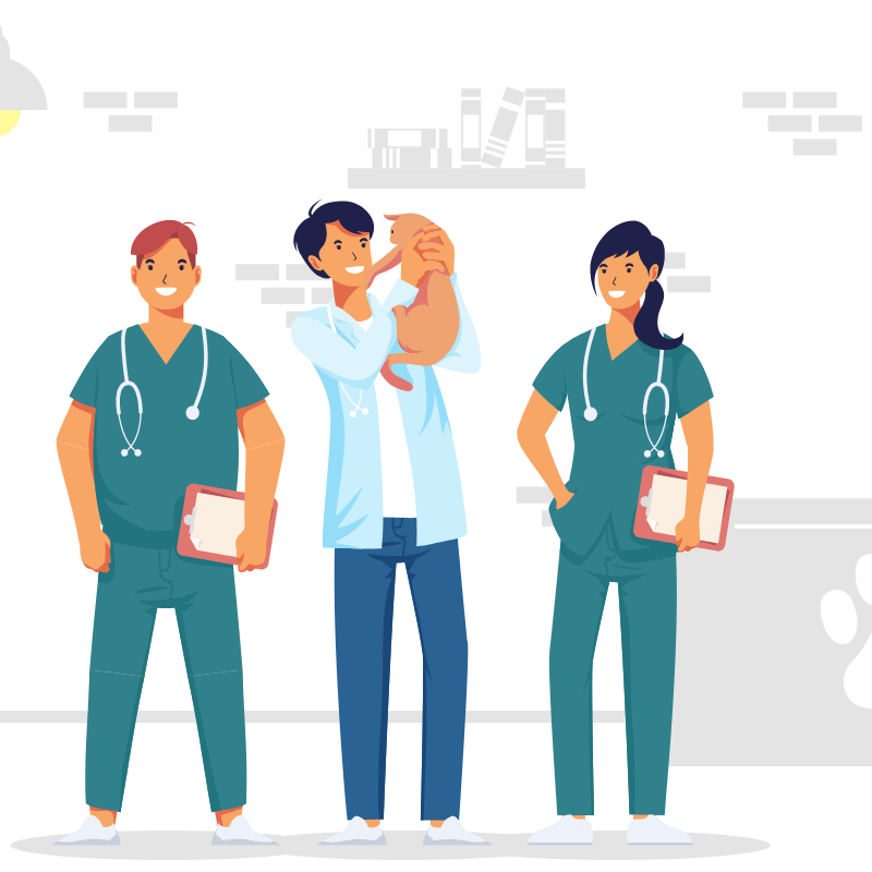 Veterinary job cartoon illustration