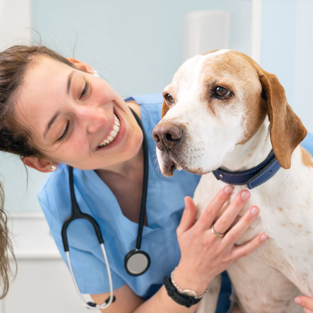 a veterinary nurse smilling while playing with a dog